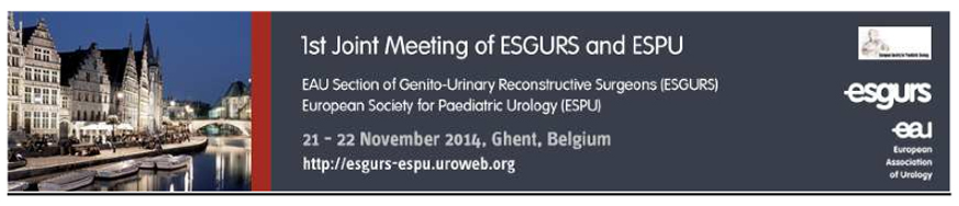 El Dr. Romero Otero participa