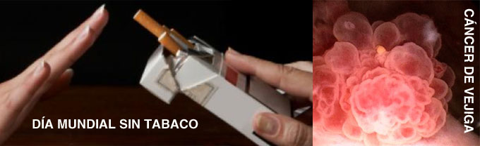 DÍA MUNDIAL SIN TABACO 31 DE MAYO