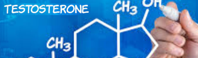 testosterona