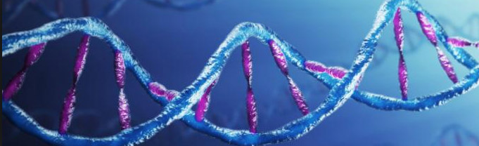 análisis PSA, pruebas genómicas o test de Gleason.