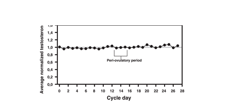 Testosterona y ciclo mestrual graficos