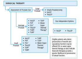 enucleación prostática con láser holmium