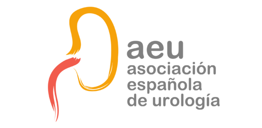 Junta plenaria de la aeu