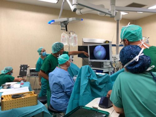 Programa Enucleación con Láser Holmium.