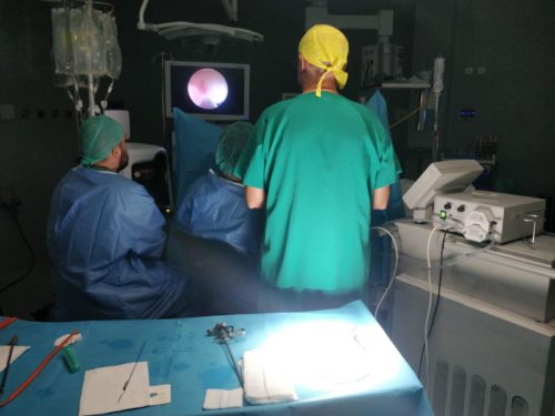 programa de enucleación prostática