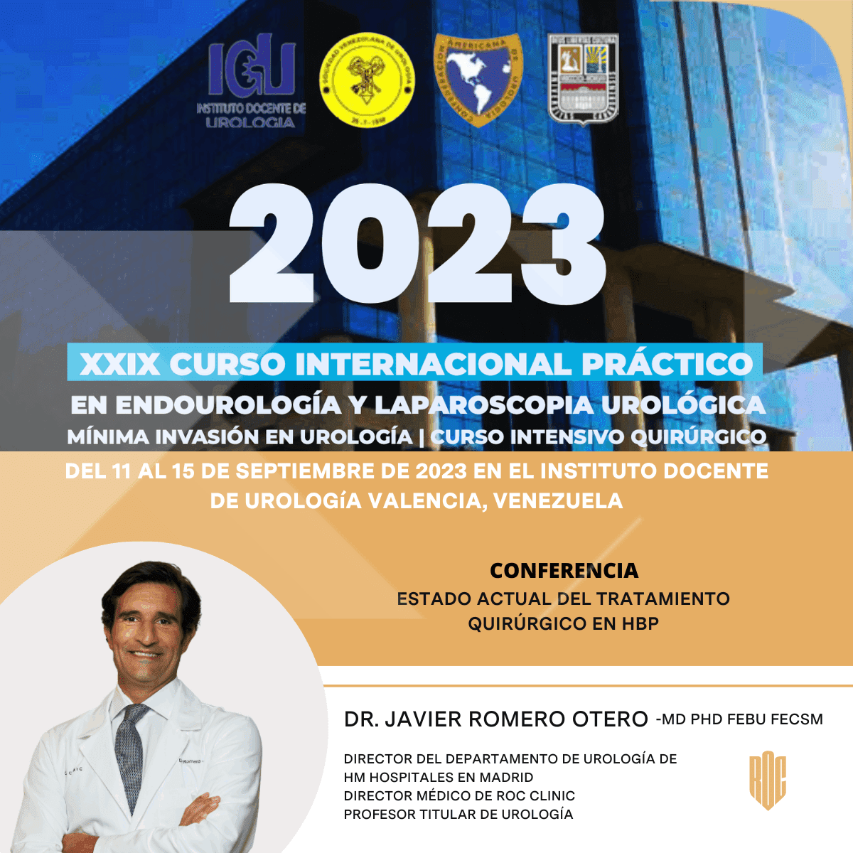 xxix curso internacional